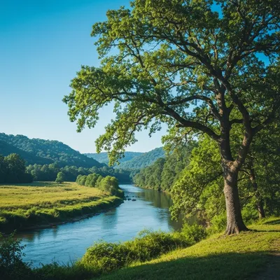 Illustration alabama - Image 1